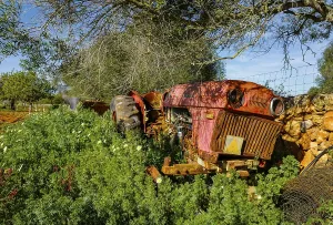 Landscape and nature in February, Majorca, Spain