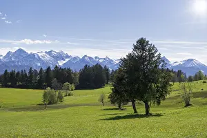 Landscape near Buching, Allgaeu Alps
