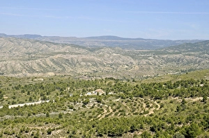 Category Mountain Landscapes Prints: Landscape near Busot, La Vila Joiosa
