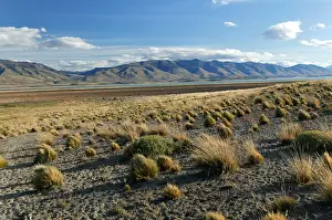 Landscape near El Calafate, Cordillera