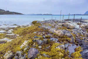 Landscape near Straumsnes on the island of Senja in Norway