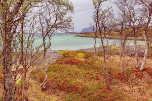 Landscape near Straumsnes on the island of Senja in Norway