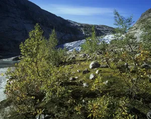 Landscape at Nigardsbreen, one of the glacier arms of Jostedalsbreen