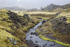 Landscape north of Arnarstapi, Vesturland