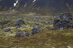 Landscape north of Arnarstapi, Vesturland