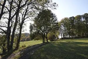 Landscape in the Odenwald