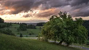 Landscape in the Odenwald with trees