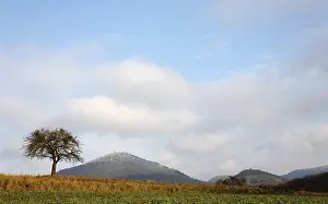 Landscape in the Palatinate