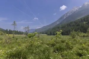 Landscape panorama, Jagersee