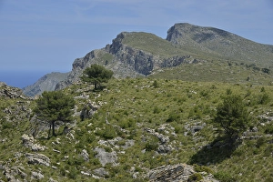 Landscape in the Parc Natural Peninsula de Llevant