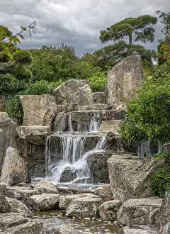Landscape, park, trees, shrubs