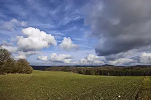 Landscape photography, field, agriculture