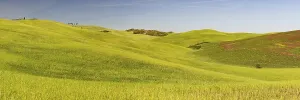 Landscape around Pienza, Val dOrcia