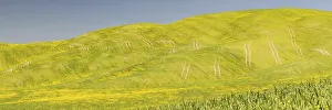 Landscape around Pienza, Val dOrcia
