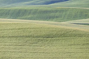 Landscape around Pienza, Val dOrcia
