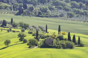 Landscape around Pienza, Val dOrcia