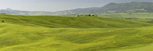 Landscape around Pienza, Val dOrcia