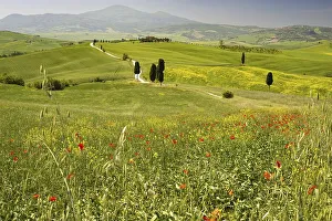 Landscape around Pienza, Val dOrcia