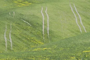 Landscape around Pienza, Val dOrcia