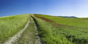 Landscape around Pienza, Val dOrcia