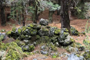 Landscape in the Refugio de El Pinar National Park