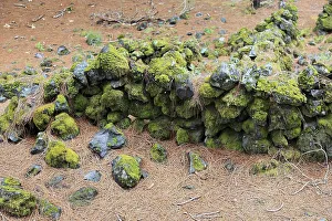 Landscape in the Refugio de El Pinar National Park