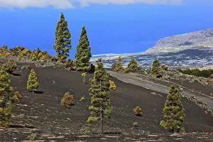 Landscape in the Refugio de El Pinar National Park and view of the sea
