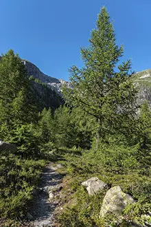 Landscape of the Rhone valley near the hamlet of Gletsch