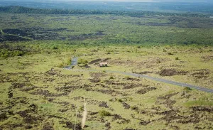 Landscape of a rural road surrounded by vegetation