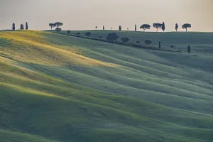 Landscape around San Quirico d'Orcia
