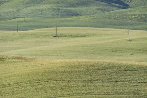 Landscape around San Quirico d'Orcia