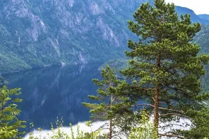 Landscape in the Setesdal in Norway in the summer time