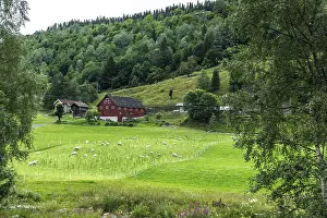 Landscape in the Setesdal in Norway in the summer time