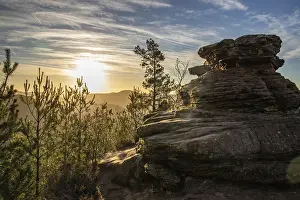 Landscape shot on a sandstone rock in the forest