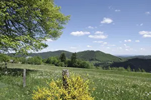 Landscape, Sky, Meadow, Colourful