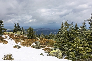 Landscape with snow on the Brocken in the Harz Mountains