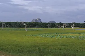 Landscape Sri Lanka