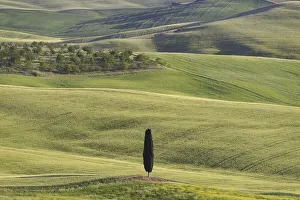 Landscape at sunrise around Pienza