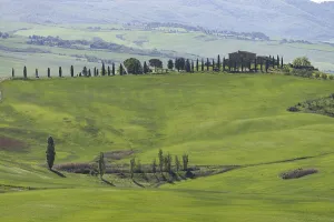 Landscape at sunrise around Pienza