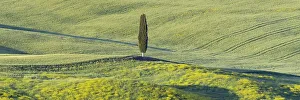 Landscape at sunrise around Pienza