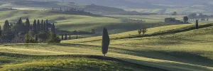 Landscape at sunrise around Pienza