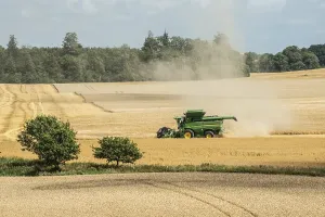Landscape with threshing of grain with combine harvester at Ystad