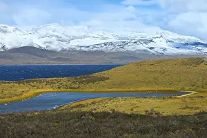 Landscape in the Torres del Paine National Park