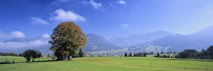 Category Mountain Landscapes Prints: Landscape with trees in autumn