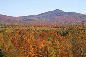 Landscape with trees in autumnal colours