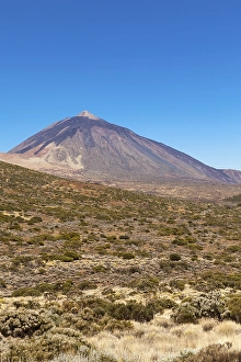 Landscape with vegetation typical of the Parque Nacional de las Canadas del Teide