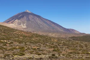 Landscape with vegetation typical of the Parque Nacional de las Canadas del Teide
