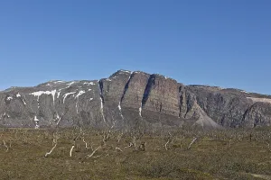 Landscape view of dead trees and Giemas mountain in the background in clear summer weather