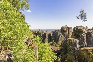 Landscape view with a single pine tree on a cliff