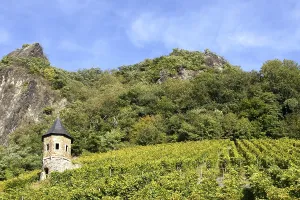 Landscape with vineyards under the Drachenfels